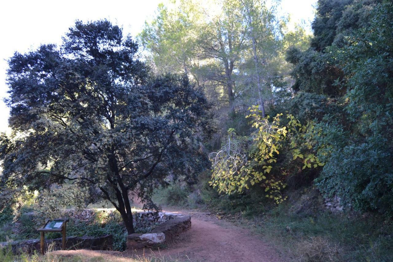 比拉法梅斯La Coveta Rural公寓 外观 照片